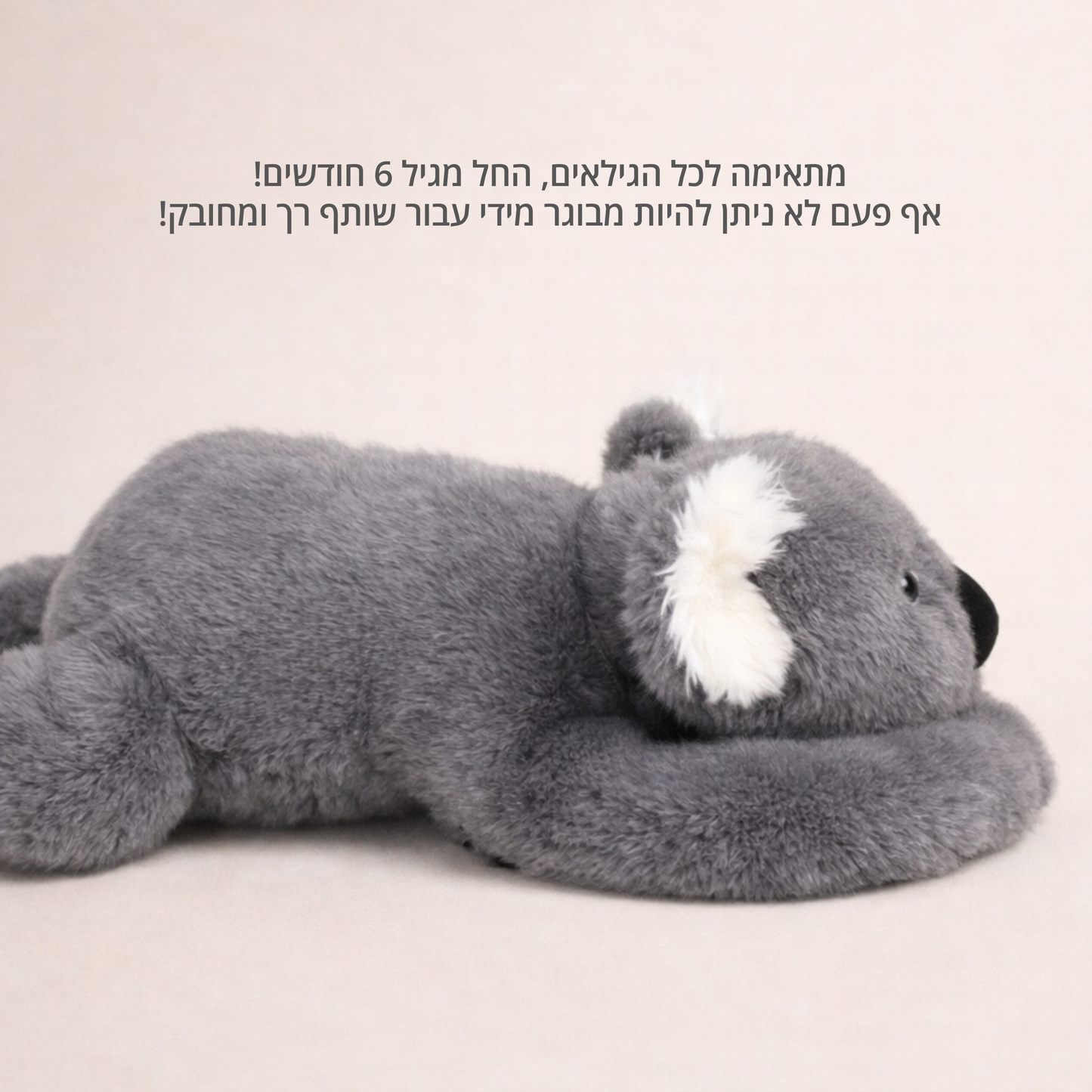 קוקי הקואלה - בובת חיבוק להקלת חרדה ולחץ