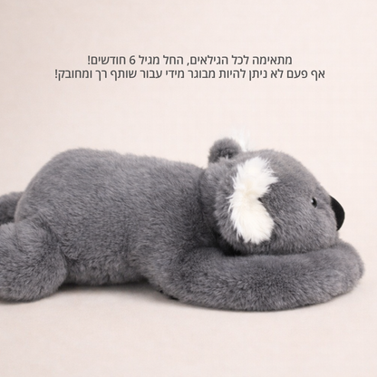קוקי הקואלה - בובת חיבוק להקלת חרדה ולחץ